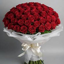 Букет 101 Красная роза Блэк Мэджик в город Кимры