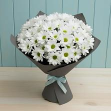 Букет цветов из:  Хризантемы в город Кимры