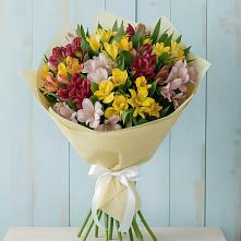 Букет цветов из:  Альстромерии в город Кимры
