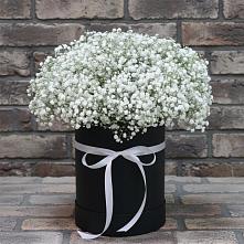 Цветочная композиция из Гипсофила в шляпной коробке в город Кимры