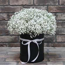 Цветочная композиция из Гипсофила в шляпной коробке в город Кимры