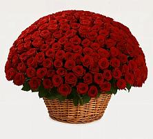 Премиум букет из: Розы в город Кимры