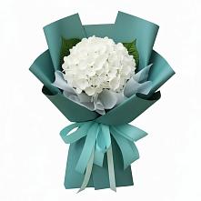 Букет цветов из:  Гортензия #REPLACE_PRED# город Кимры